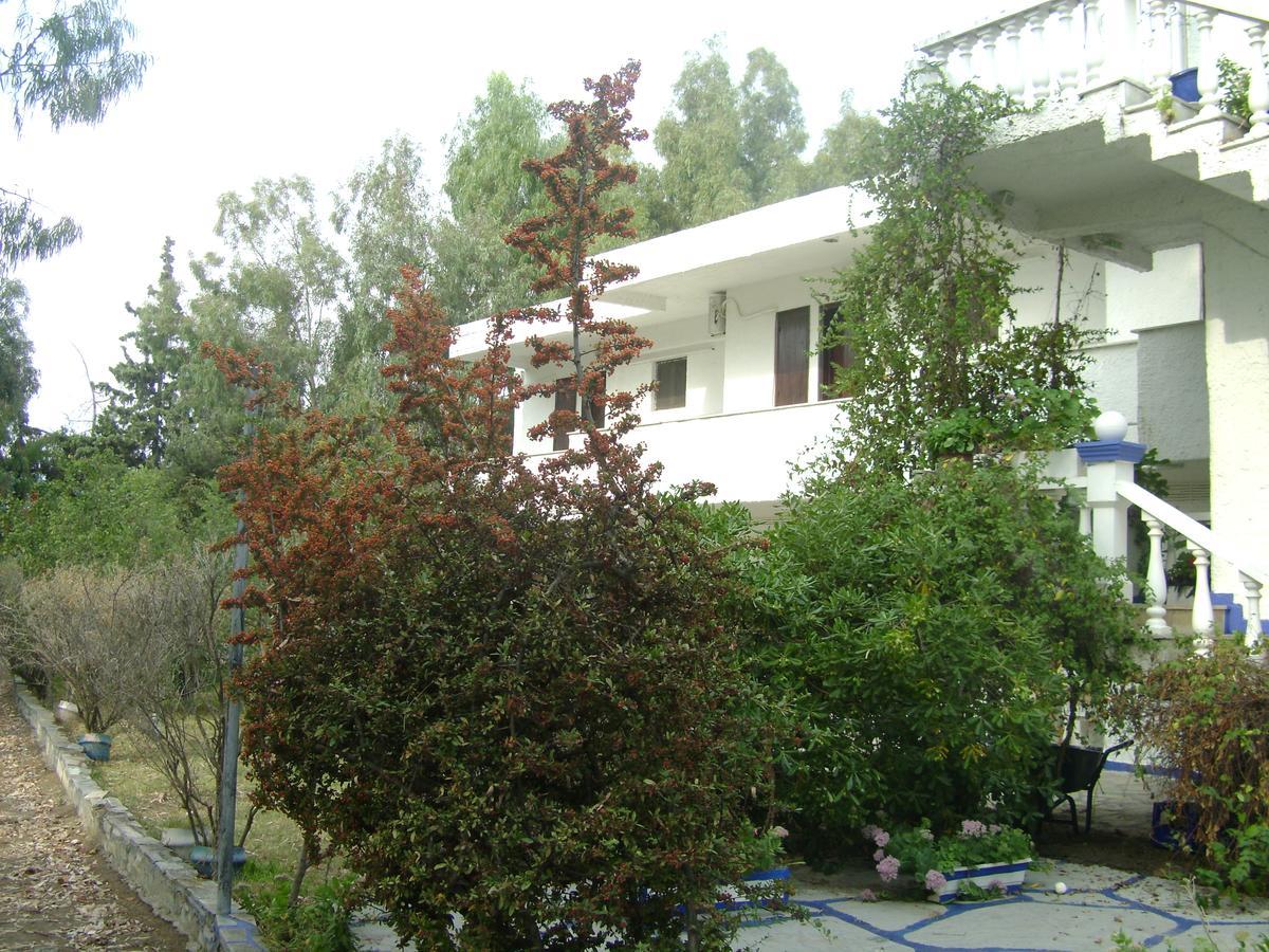 Villa Zoi Thronion Exteriér fotografie
