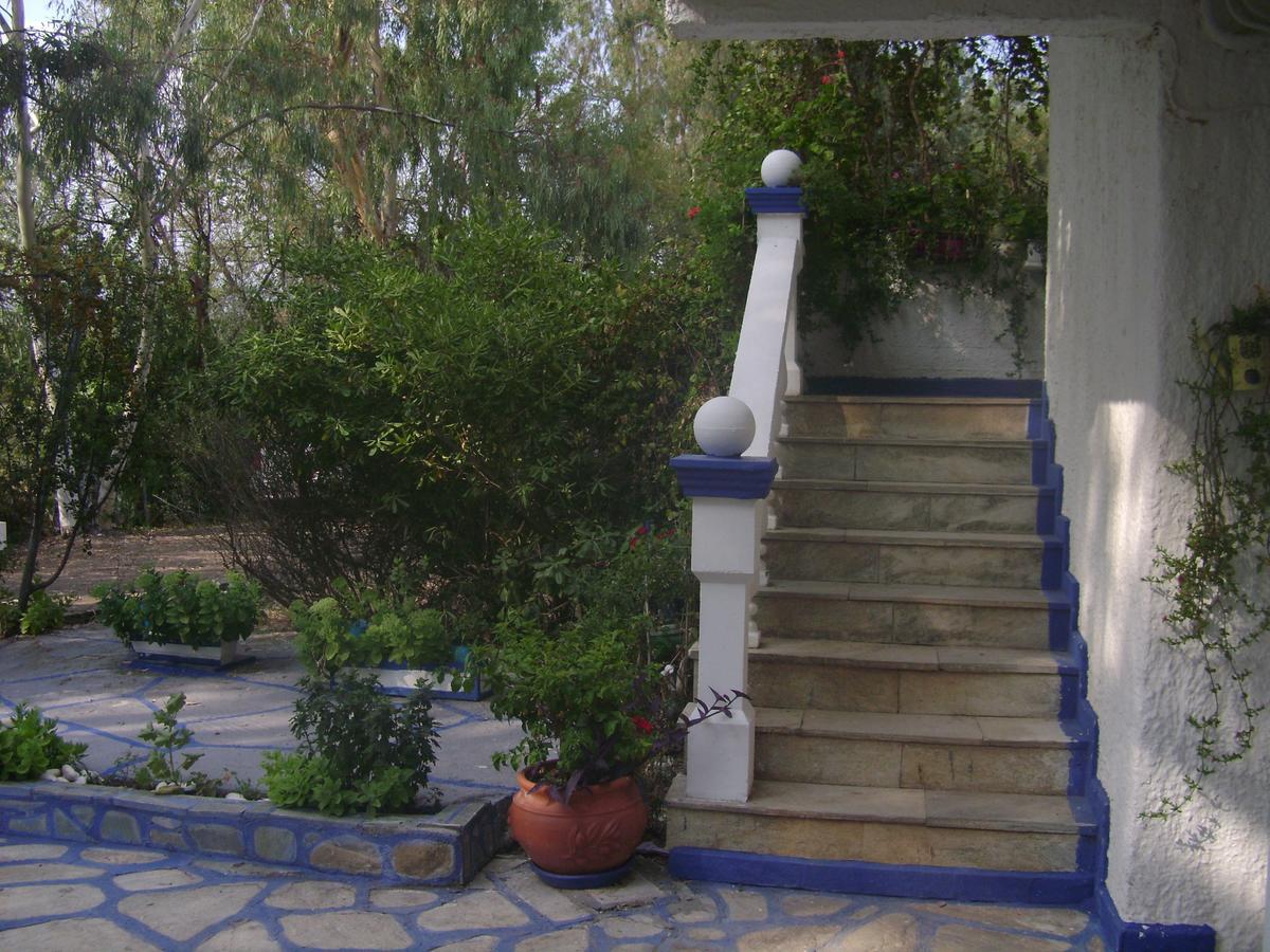 Villa Zoi Thronion Exteriér fotografie