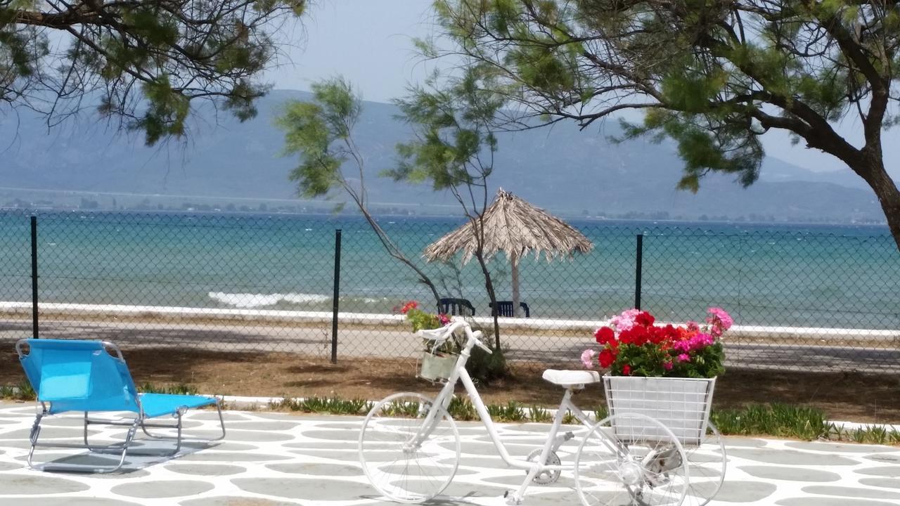 Villa Zoi Thronion Exteriér fotografie
