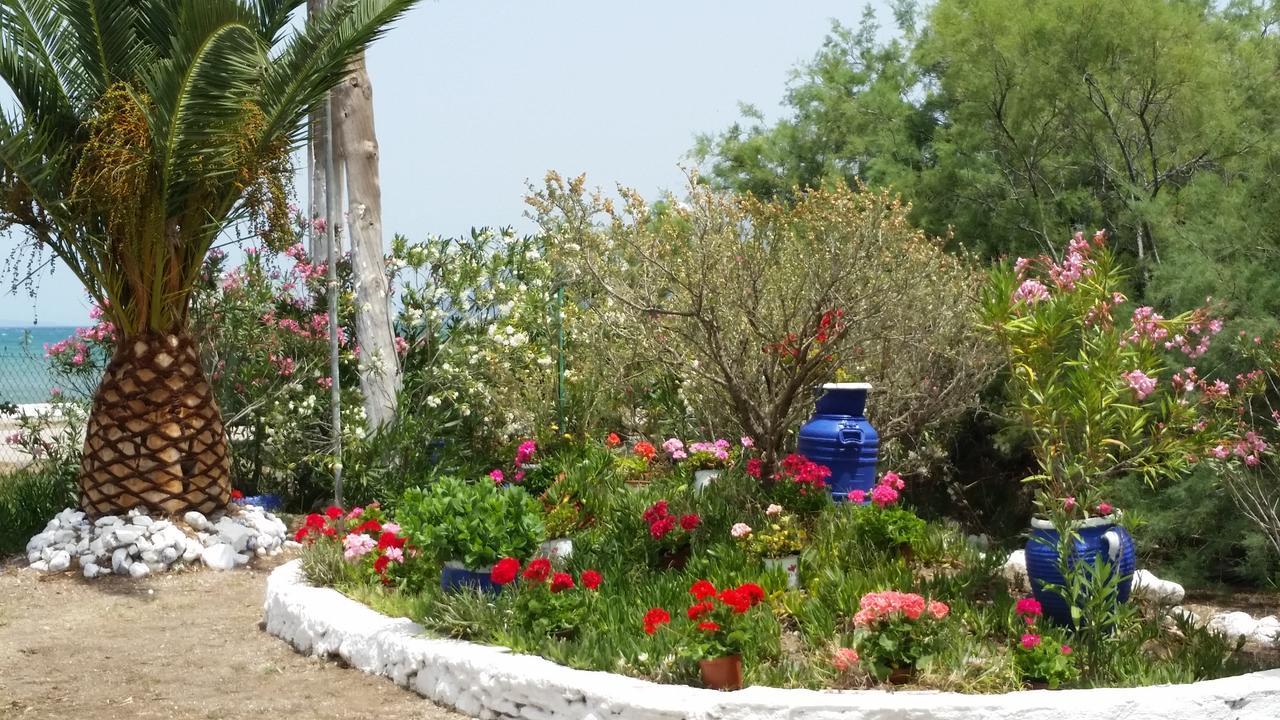 Villa Zoi Thronion Exteriér fotografie